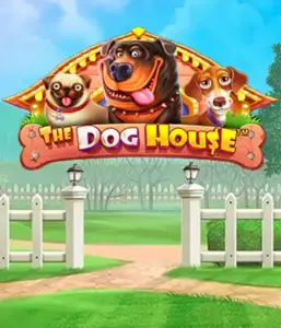 Experience Pragmatic Play's The Dog House adventure, featuring an adorable journey among lovable dogs. Engage in features such as multipliers, perfect for delivering exciting wins. A must-try for pet lovers a cheerful theme alongside lucrative rewards.